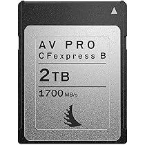Amazon | Angelbird AV Pro 2TB CFexpress 2.0 タイプB メモリーカード